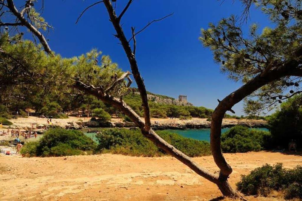 Cottage A 5 Minuti Dal Mare Nardò Eksteriør billede